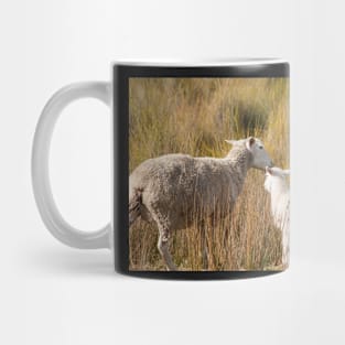 Ewe and Lamb1 Mug